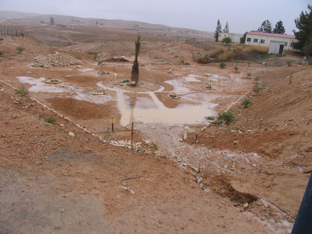 Small garden (Bustan) based on rain water harvesting at El Mustaqbal, a Bedouin School near Beer Sheva - Click for more images