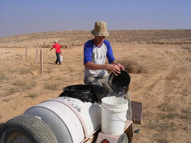 These students are shown participating in the geomorphological dig and cleaning the ancient agricultural terraces at Nitzana - Click for more images