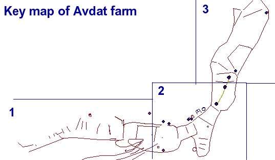Hydrological Study of Ancient Farm at Avdat