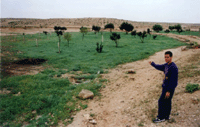 Maintenance of the Restored Farm at Nitzana - Click for Closeup