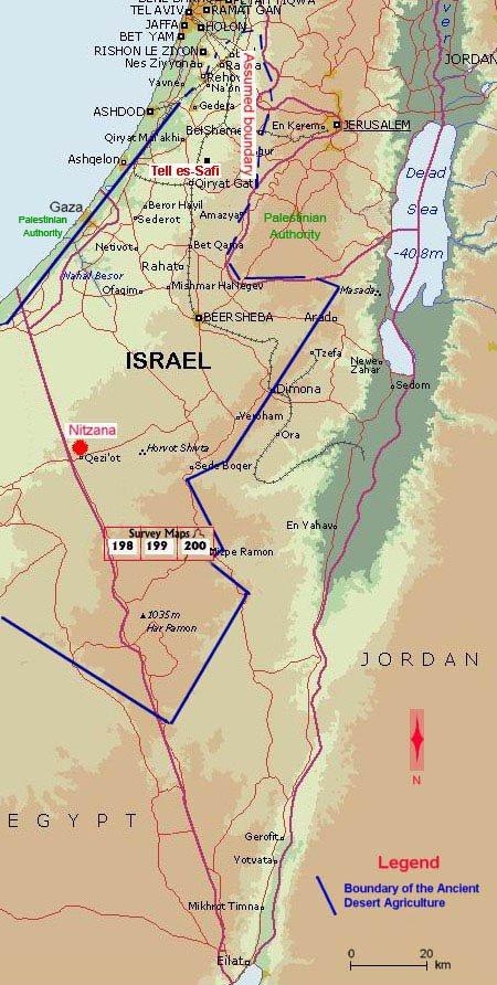 Ancient Desert Agriculture in the South Levant