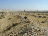 Nitzana Archaeological Survey - Click for Closeup