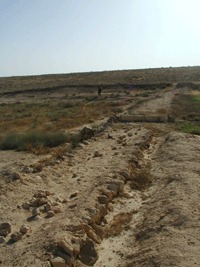 Nitzana Archaeological Survey - Click for Closeup