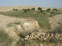 Restored Byzantine Farm at Nitzana - Click for Closeup