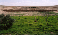 Restored Byzantine Farm at Nitzana - Click for Closeup