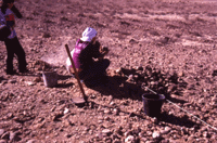 Excavating Tuleilat el Anab at Nitzana - Click for Closeup