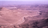 Ancient Agriculture Systems in the South of Israel - Click for Closeup