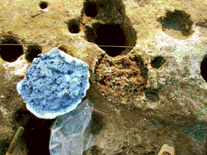 A Mold Taken of a Prehistoric Posthole - click for closeup