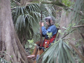 Annual Re-enactment of the Battle of Okeechobee - click for another view