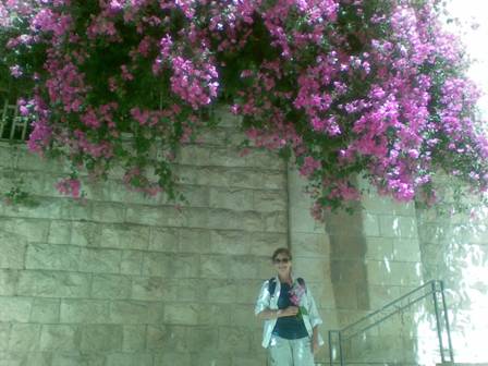 Kathy in the Jerusalem bougainvillea during 2010 summer surveys