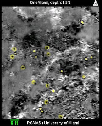 GPR Image from One Miami Survey, Click here for movie