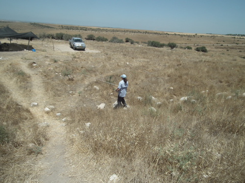 Marking GPR Survey Area at Tel Burna June 2013