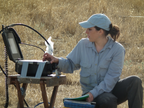 Jessie executing GPR Survey at Tel Burna June 2013