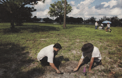 Digging for Clues