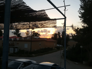 Sunrise at Revadim