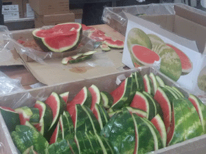 Watermelon break at the dig!