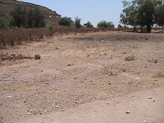 Unexcavated area where coffins were once said to be seen - Click here for Vertical Depth Profile Animation of sub-surface anomalies found