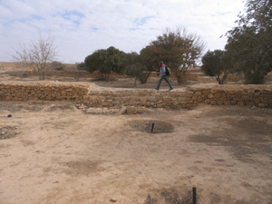 GPSing Ancient Desert Agricultural Terraces for Cartographic Applications