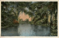 Native American Experience Animated
Collage